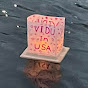 VIDU In USA logo
