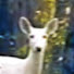 fnt53dsTkmE-channel-avatar-•Zonkey•