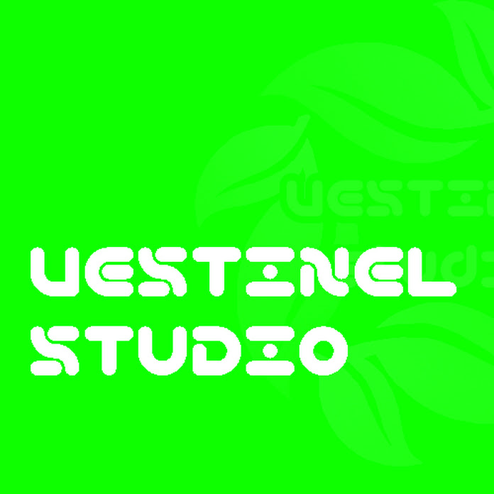 Vestinel Studio Net Worth & Earnings (2024)