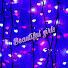 Beautiful girls