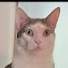 G4Wpa1ipAgM-channel-avatar-Checks_Over_Stripes