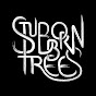 Stubborn Trees logo