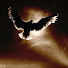 BerdSky1