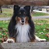 Rickyagility