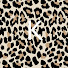 hZbcneFtDAE-channel-avatar-Kassie k