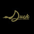 HMz-s6veaZE-channel-avatar-Duck Hodges