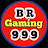 Bihari Gaming999