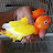 SSH Birds Aviary3083