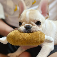 フレブル🐾ウォルトくんのわからせchannelアイコン画像