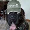 GunznGear