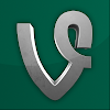 THE BEST VINES