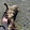 KiTtY cAt