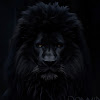 DomminBand