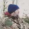 THE WATCHING OBSERVER 76