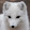 SnowFox 2074