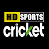 What could HD sports - cricket buy with $100 thousand?