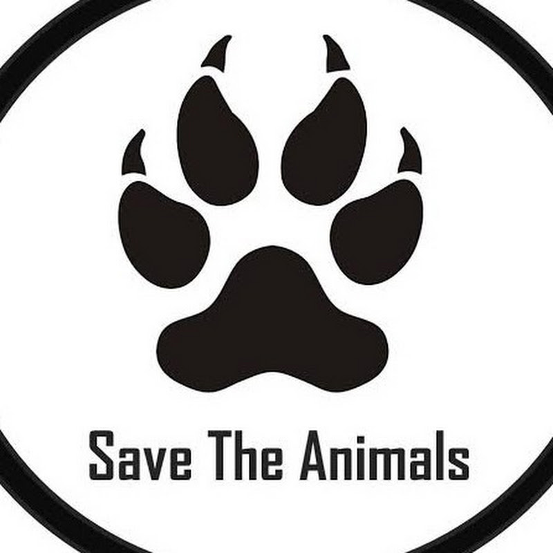 Animals _4u