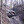 poseyheep