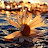 @ranam3441