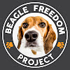 BFP