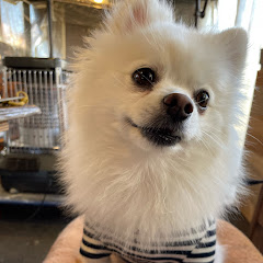 僕の休日アイコン画像