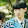 7 조녜퐁듀