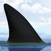 SharkSound