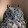 Soim the Owl