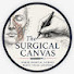 3qFT2z5PgGI-channel-avatar-The Surgical Canvas