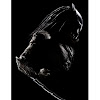 Clint mansell creep скачать Clint mansell creep скачать