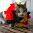 Mr. Flip the Cat