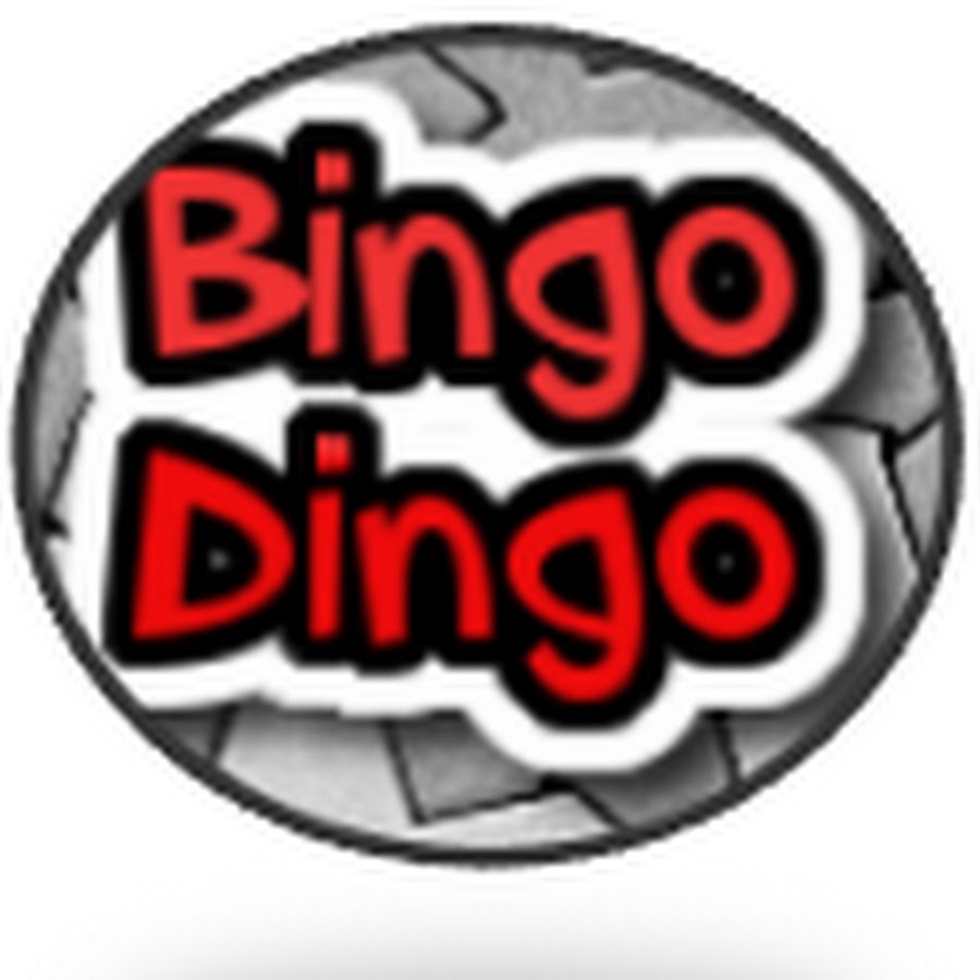 BINGO DINGO YouTube