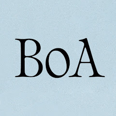 BoA net worth