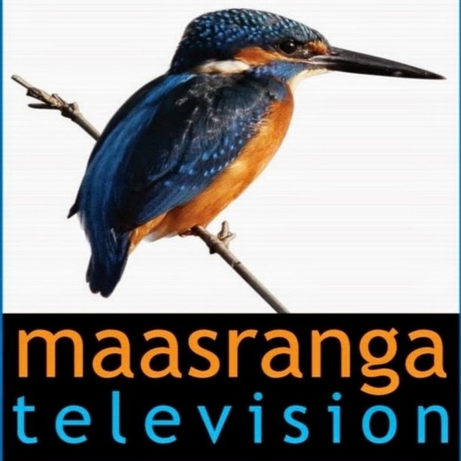 Image result for MAASRANGA TV