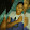 Willian loreto