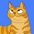 Cat Ted Funny