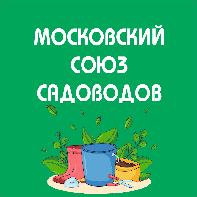 6 соток Андрея Туманова