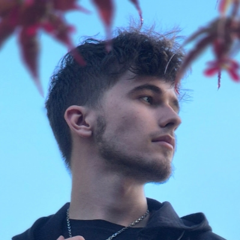 Theo Carelly icon