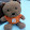 Teddy Bear swimmer