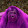 Dishsoap