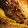 Smaug The Dragon