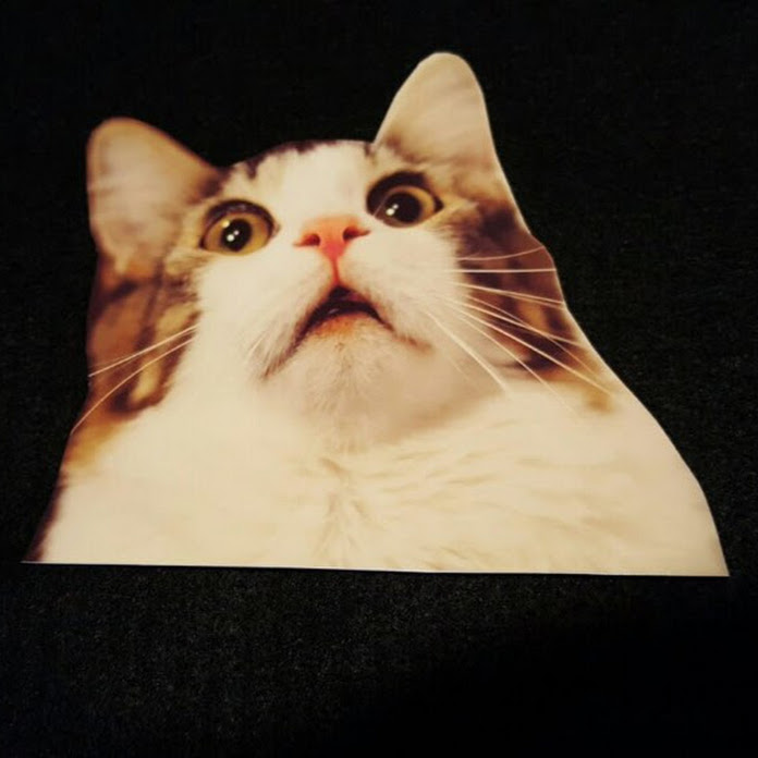 할짓없는고양이 Net Worth & Earnings (2026)