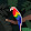 Kirby Fan AVGCP NODD
