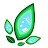 Renewable Energy