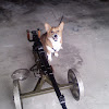 C2builder