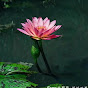 陳靜芳