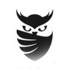 creative owls