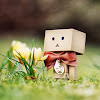 Aibo