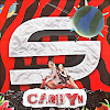 Synergy Carbyn