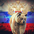 Русский медведь
